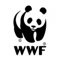 WWF Australia Logo