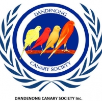 Dandenong Canary Society Logo