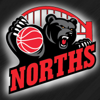 Northern Suburbs Basketball Association Logo