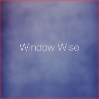 Window Wise Logo