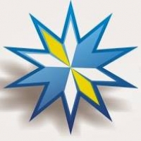 Star Diamond Carpet Cleaning & Pest Control Logo