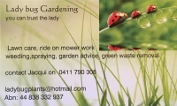 Lady Bug Gardening Logo