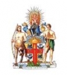 Royal Australian College Of Surgeons Logo