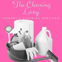 The Cleaning Lany Logo
