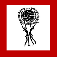 Eastern Hills Netball Association Logo