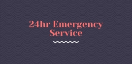 24hr Emergency Service putney