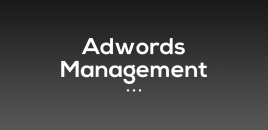 Adwords Management the basin