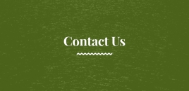 Contact Us arundel