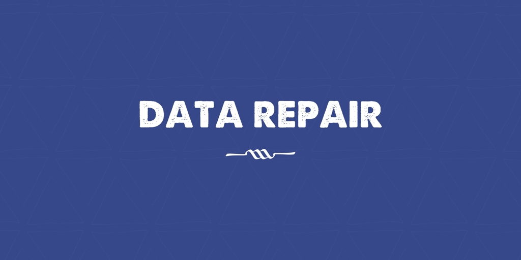 Data Repair new chum