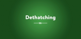 Dethatching Lalor