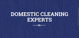Domestic Cleaning Experts eglinton