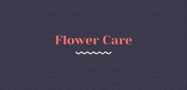 Flower Care yuroke