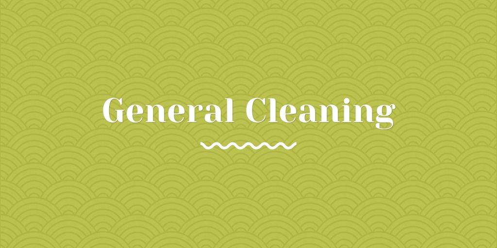 General Cleaning casula