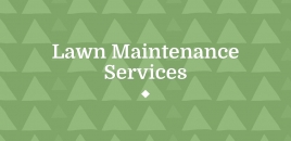 Lawn Maintenance Services Hoxton Park