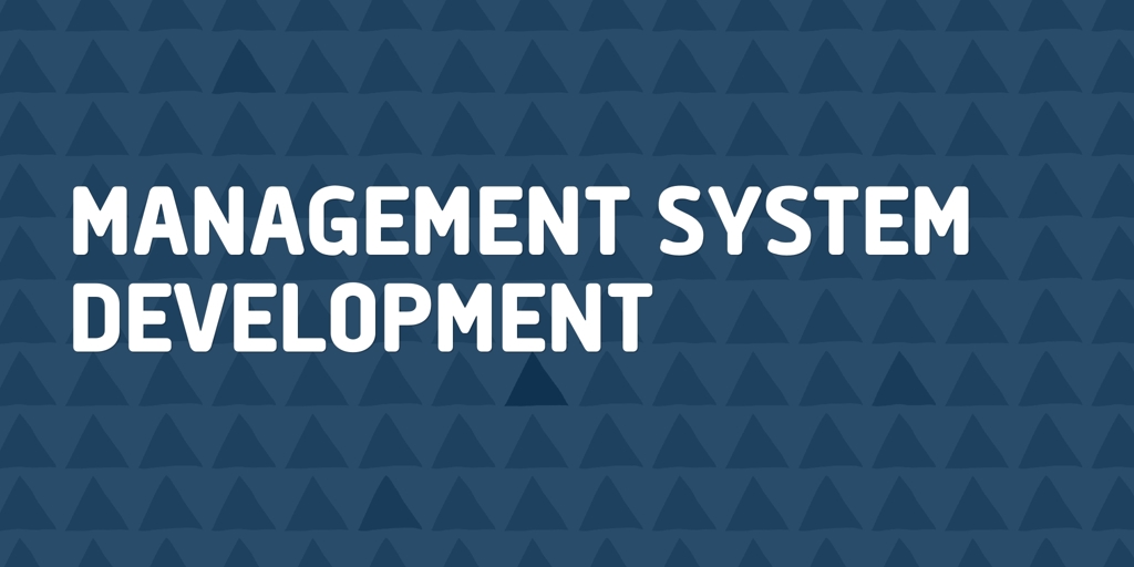 Management System Development bonnyrigg