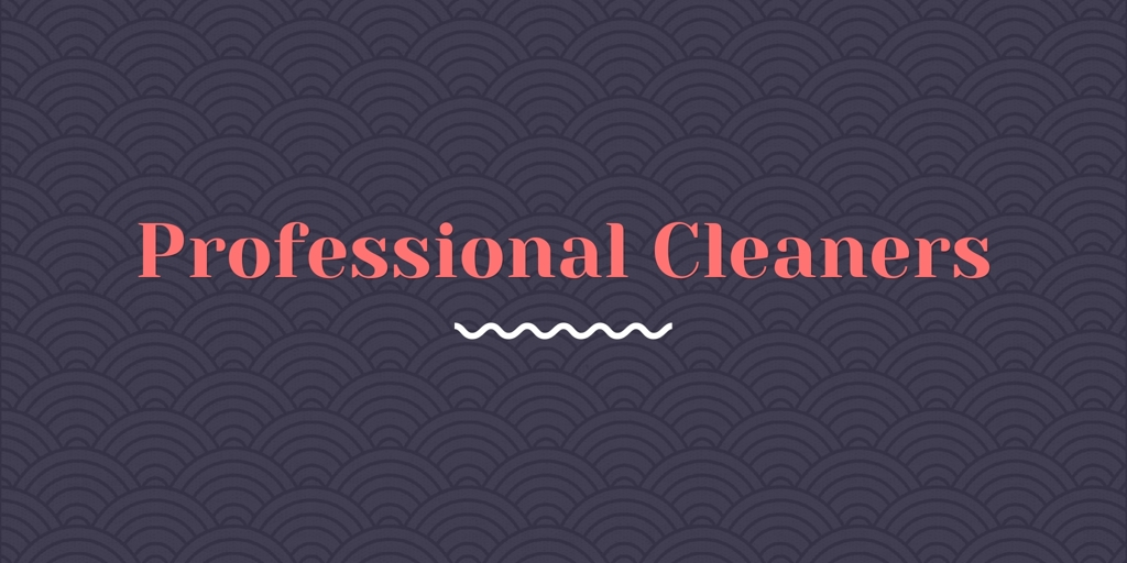 Professional Cleaners Peregian Springs