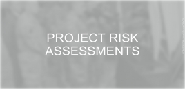 Project Risk Assessments robinson