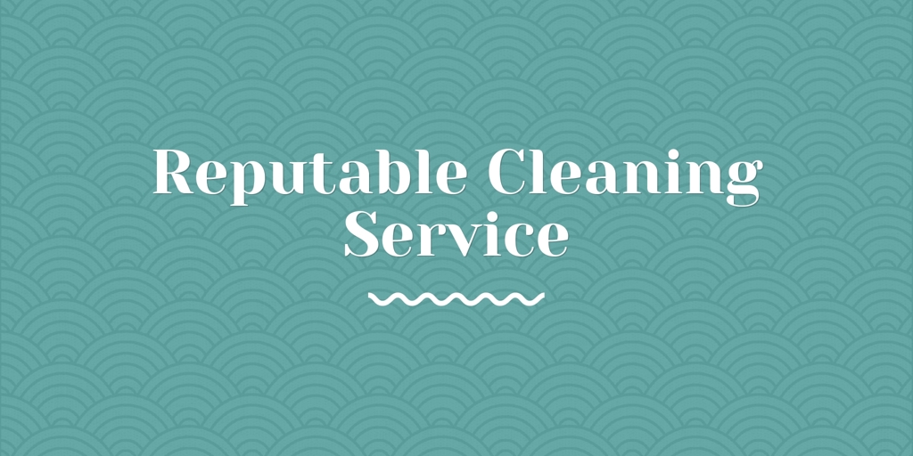 Reputable Cleaning Service camperdown