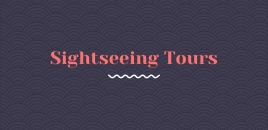 Sightseeing Tours seddon