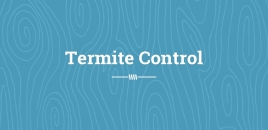 Termite Control Redland Bay