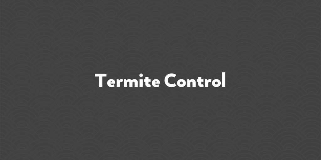 Termite Control jones gully