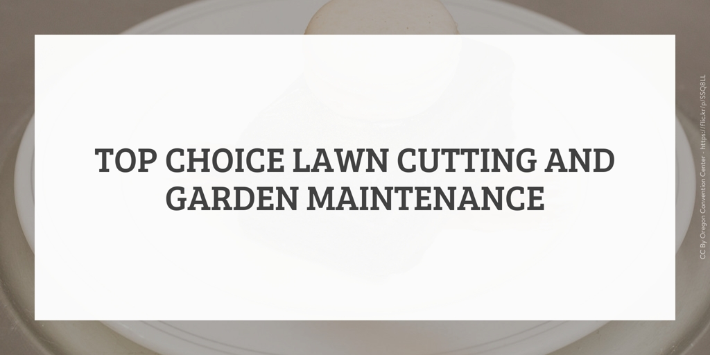 Top Choice Lawn Cutting and Garden Maintenance st johns park