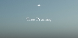 Tree Pruning Lancefield