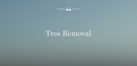 Tree Removal Ashbourne ashbourne