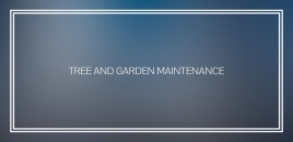 Tree and Garden Maintenance waterloo