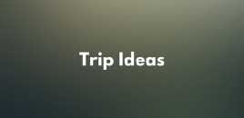 Trip Ideas mile end