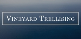 Vineyard Trellising griffith