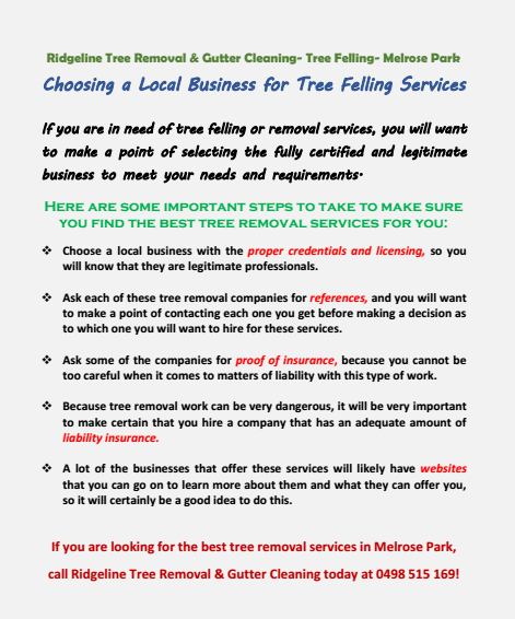 Choosing a Local Tree Removal Service Mclaren vale