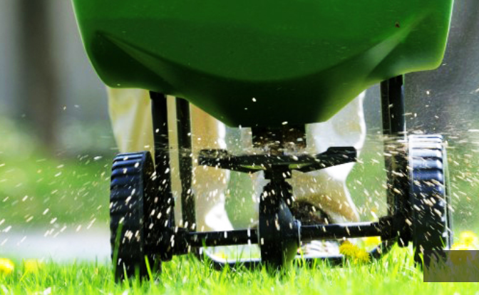 How to Keep Your Lawns Healthier Hoxton Park