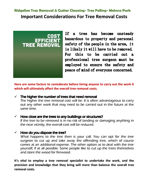 Important Considerations For Tree Removal Costs Mclaren vale