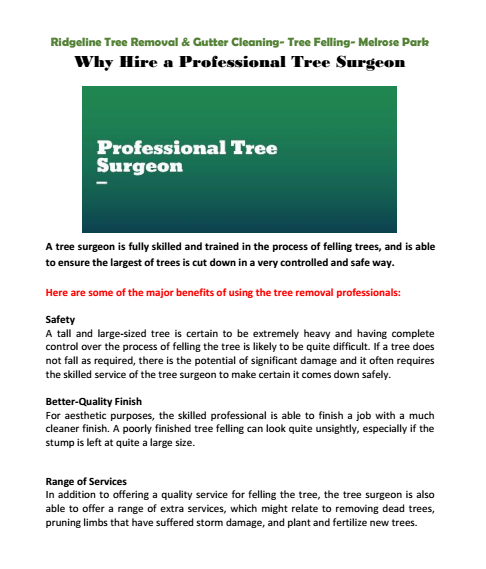 Why Hire a Professional Tree Surgeon Mclaren vale